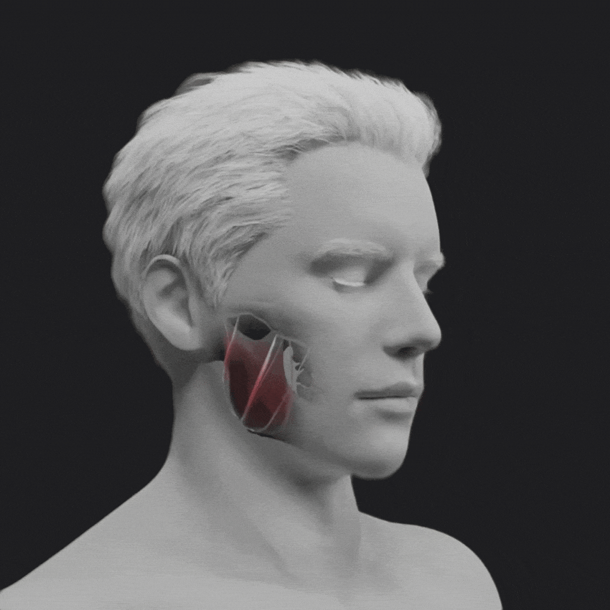 GIF Animation